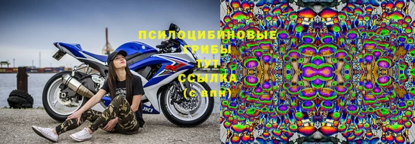 дмт Надым