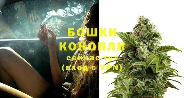 дмт Надым